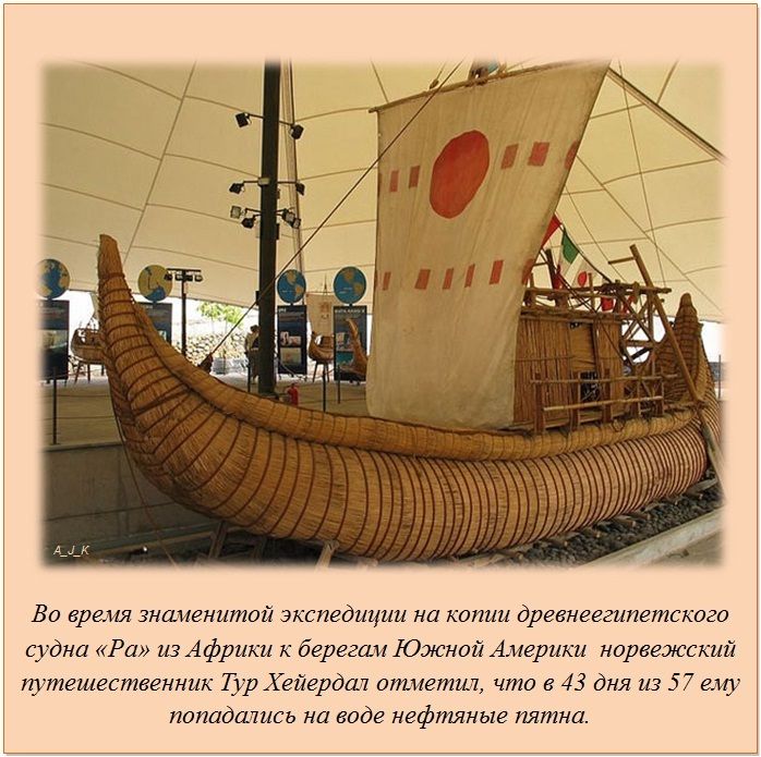 Интересные факты обо всём
