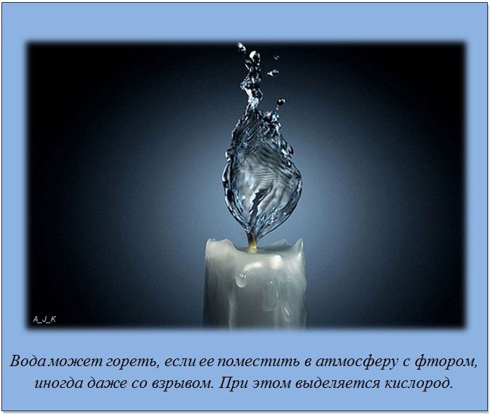 Интересные факты обо всём