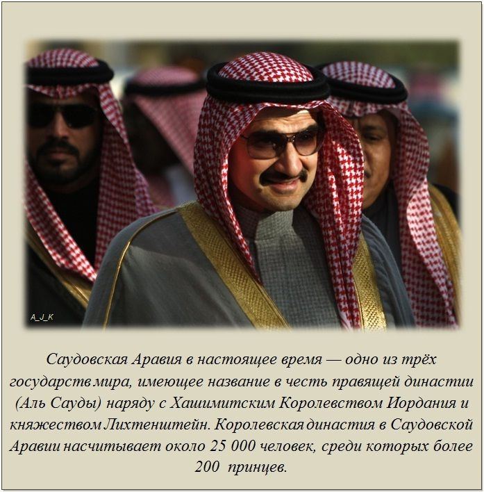Интересные факты обо всём