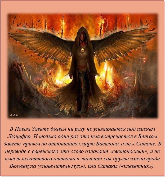 Интересные факты обо всём