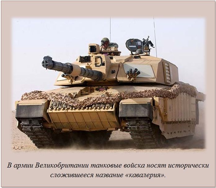 Интересные факты обо всём