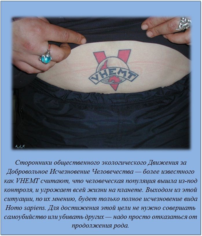 Интересные факты обо всём