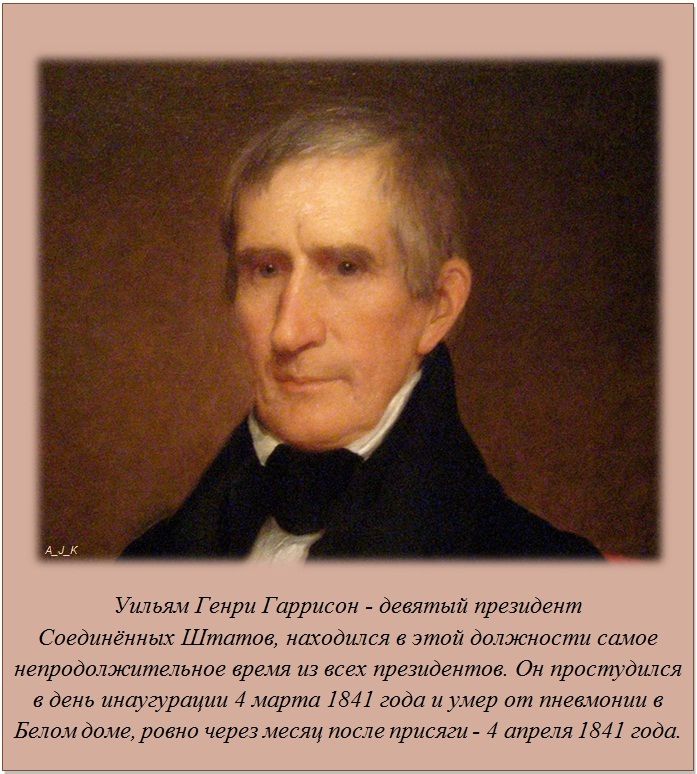Интересные факты обо всём