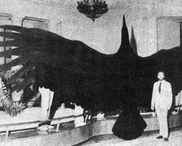 20 исторических фактов, о которых не расскажут в школе 20 исторических фактов, о которых не расскажут в школе