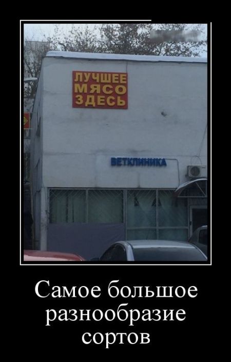 Демотиваторы