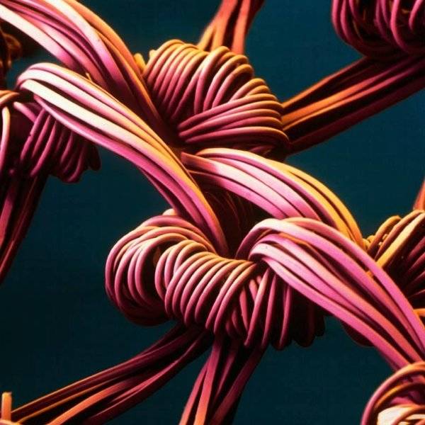 Интересные вещи под микроскопом Интересные вещи под микроскопом