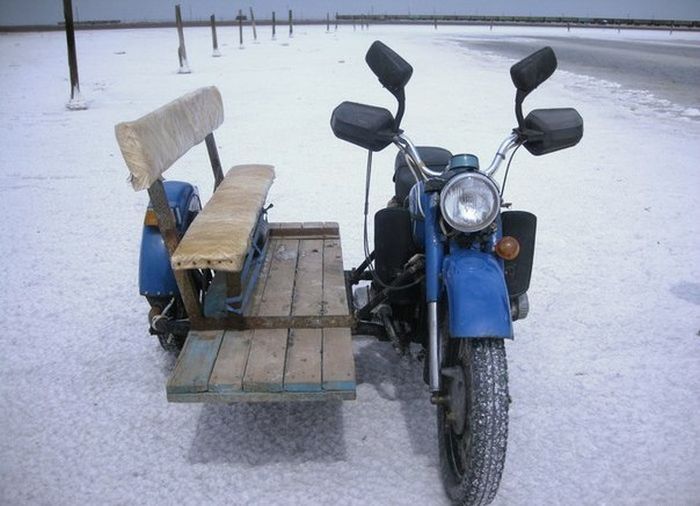 Прикольные картинки