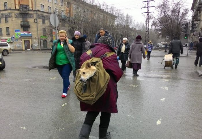 Городские чудаки