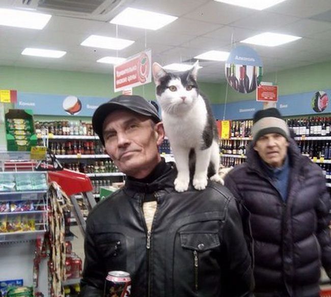 Городские чудаки