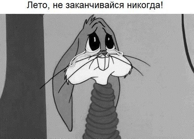 Картинки и мемы о завершении лета