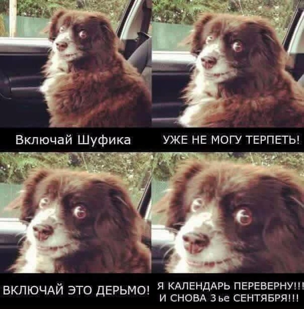 Картинки и мемы о завершении лета