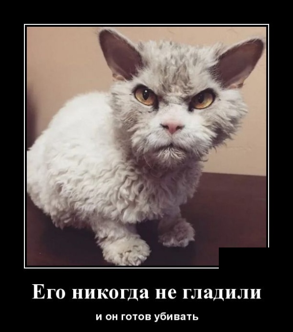 Демотиваторы