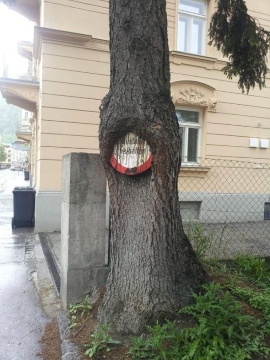 Фотографии, доказывающие беспощадность времени