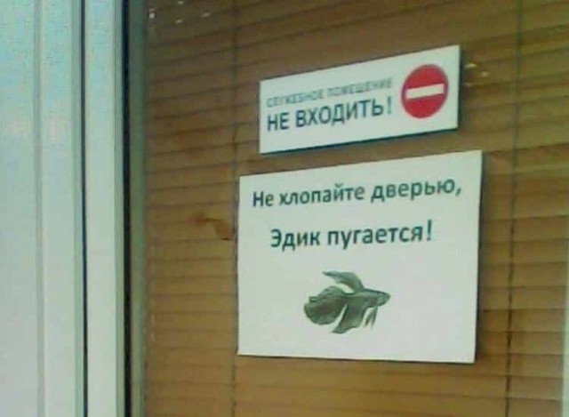 Забавные и странные объявления с наших улиц