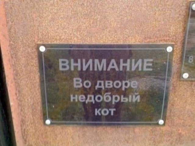 Забавные и странные объявления с наших улиц