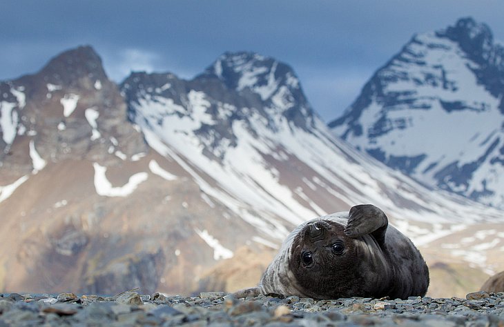 Лучшее с конкурса фотографии National Geographic 2012 Лучшее с конкурса фотографии National Geographic 2012