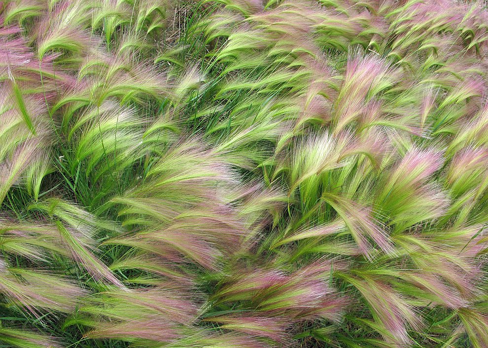Лучшее с конкурса фотографии National Geographic 2012 Лучшее с конкурса фотографии National Geographic 2012