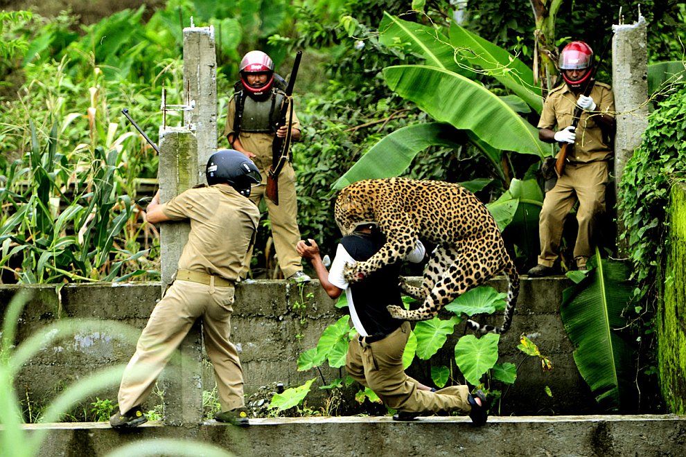 Лучшее с конкурса фотографии National Geographic 2012 Лучшее с конкурса фотографии National Geographic 2012