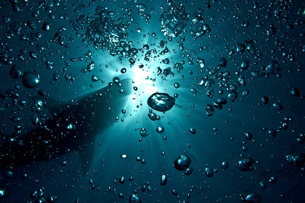 Лучшее с конкурса фотографии National Geographic 2012 Лучшее с конкурса фотографии National Geographic 2012