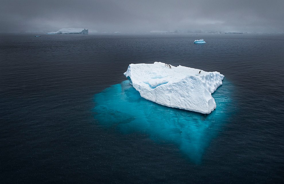 Лучшее с конкурса фотографии National Geographic 2012 Лучшее с конкурса фотографии National Geographic 2012