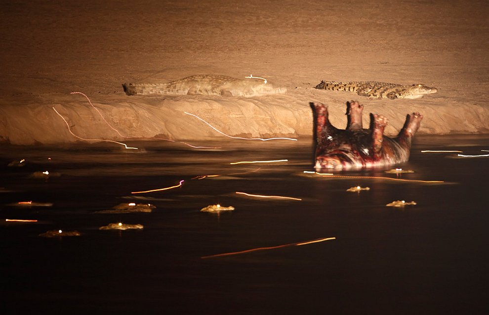 Лучшее с конкурса фотографии National Geographic 2012 Лучшее с конкурса фотографии National Geographic 2012