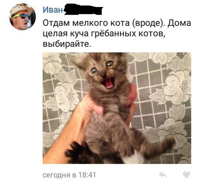 Прикольные комментарии из социальных сетей