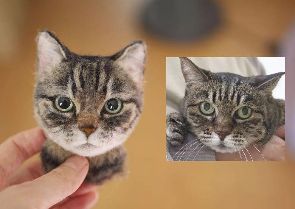 Необычные 3D-портреты кошек из шерсти