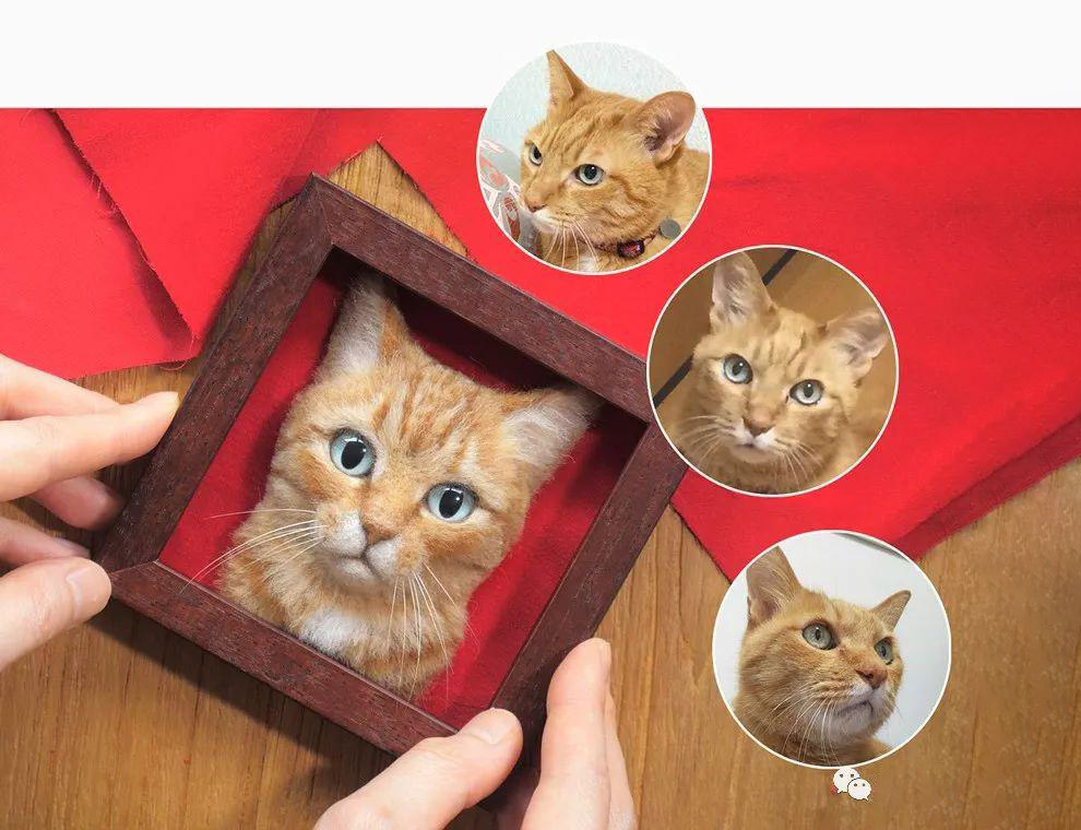 Необычные 3D-портреты кошек из шерсти