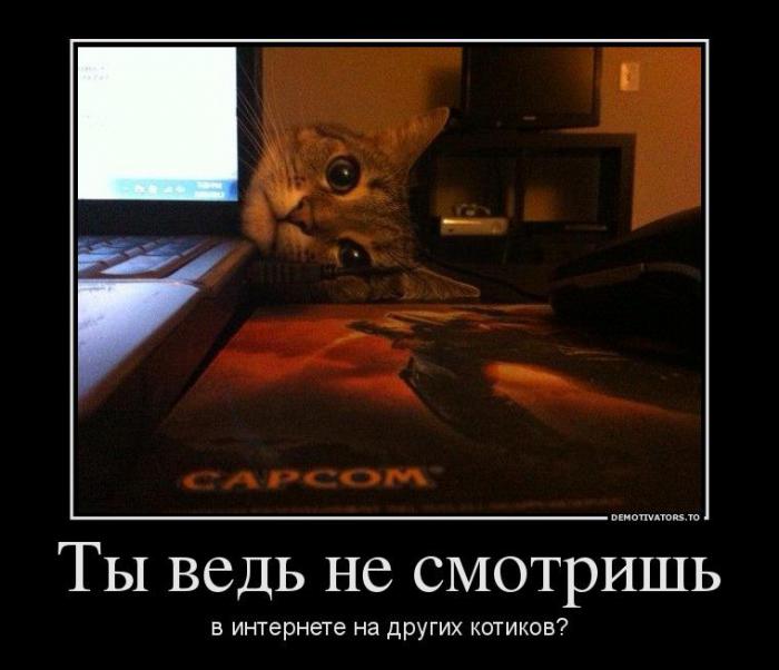 Демотиваторы (41 фото)