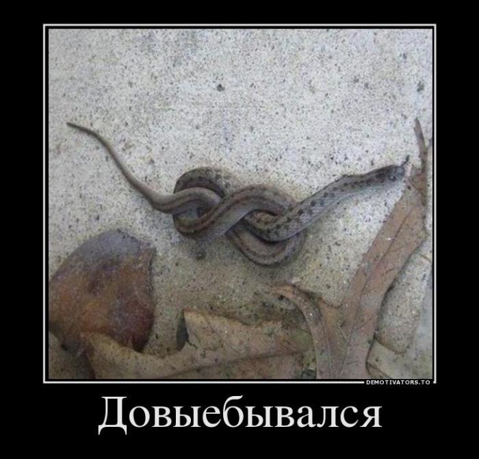 Демотиваторы