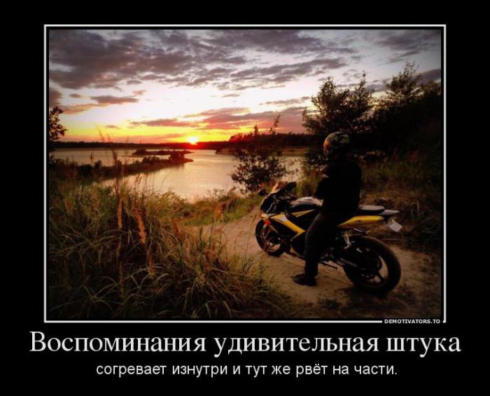 Демотиваторы