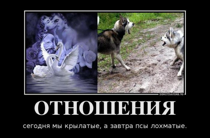 Демотиваторы