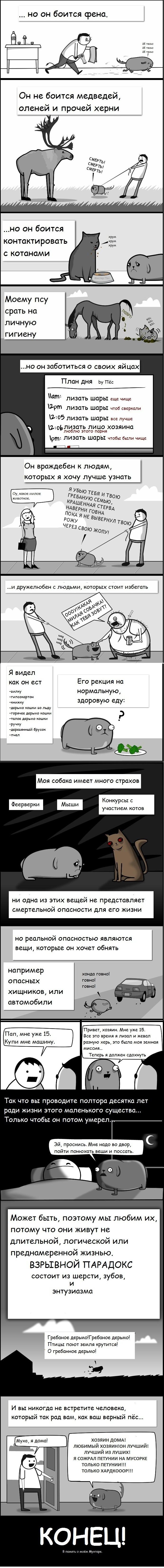 Милый комикс. Любители собак и просто животных оценят.