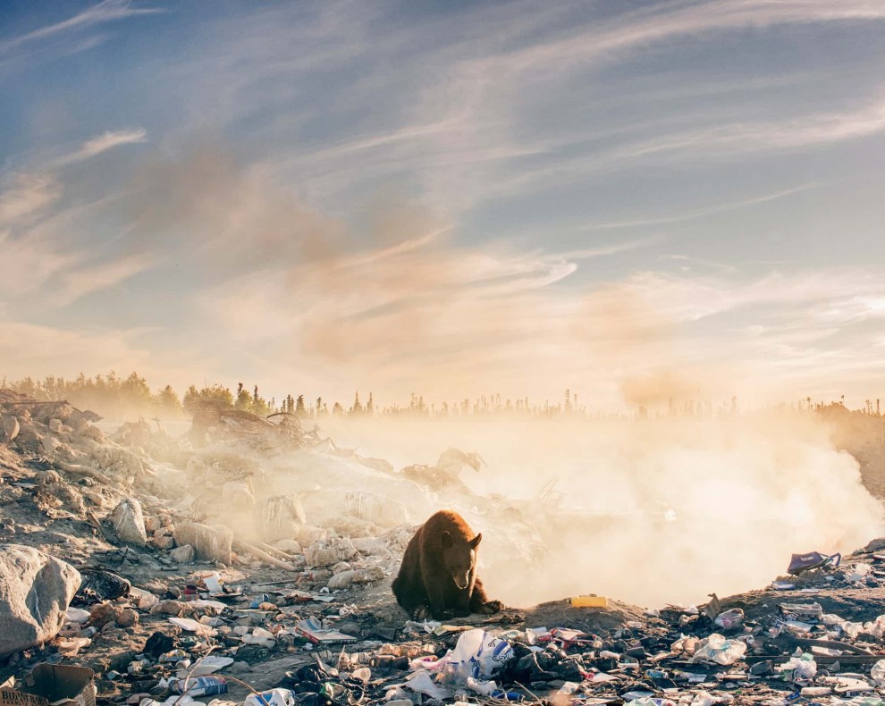Лучшие фотографии животных за последнюю неделю