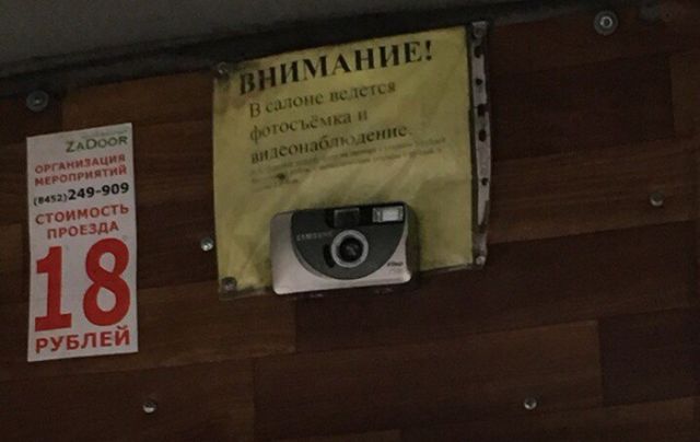 Прикольные картинки