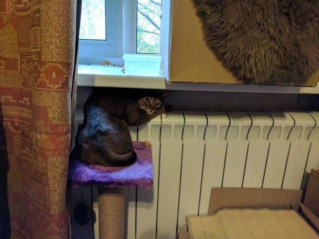 Прикольные картинки