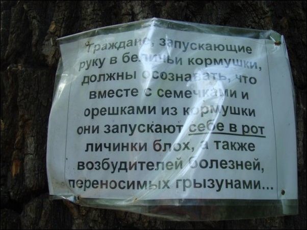 Подборка забавных и смешных надписей