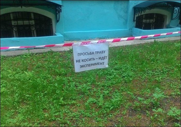 Подборка забавных и смешных надписей