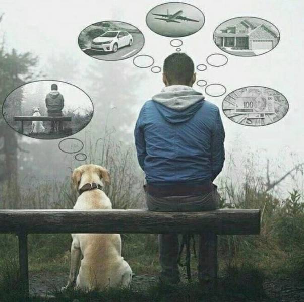 Фотографии, на которые приятно смотреть