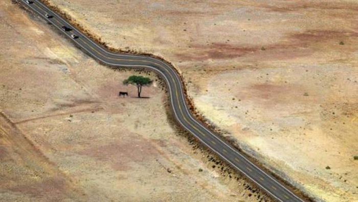 Фотографии, на которые приятно смотреть
