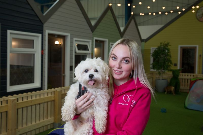 В Великобритании открыли отель для собак