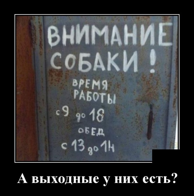 Демотиваторы