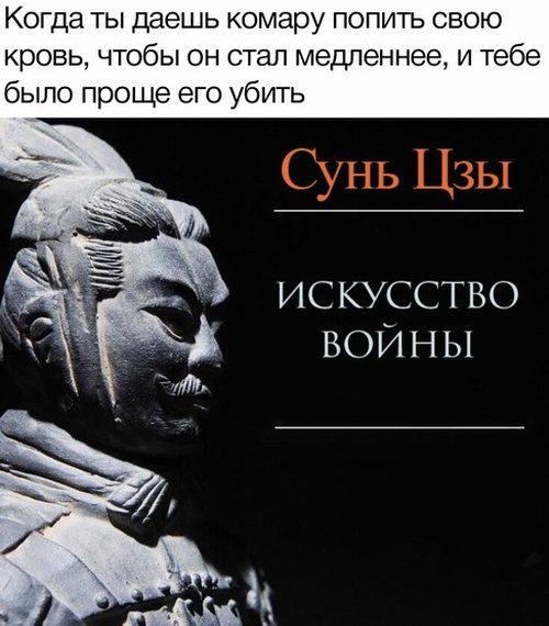 Цитаты, высказывания и умные мысли с просторов сети