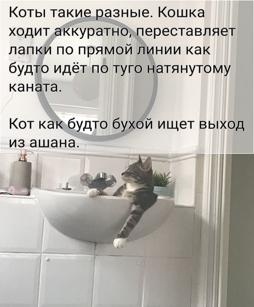 Цитаты, высказывания и умные мысли с просторов сети