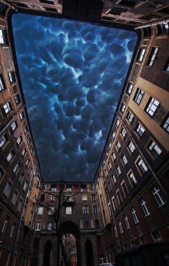 Прикольные картинки
