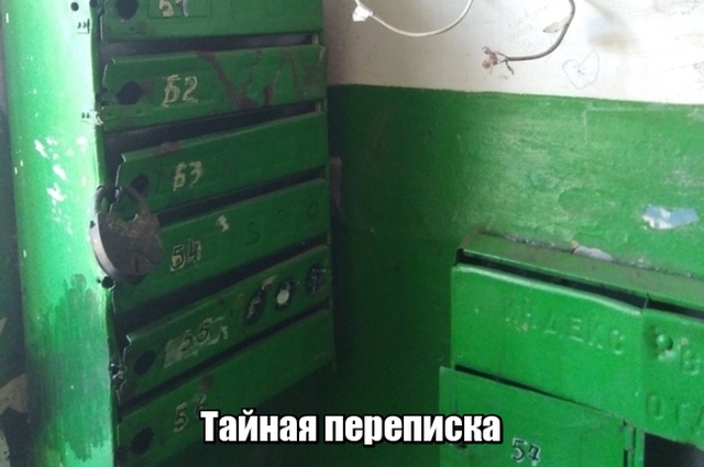 Прикольные картинки