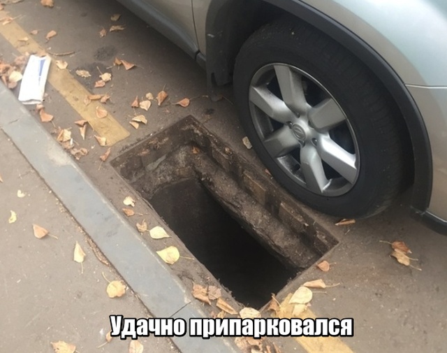 Прикольные картинки