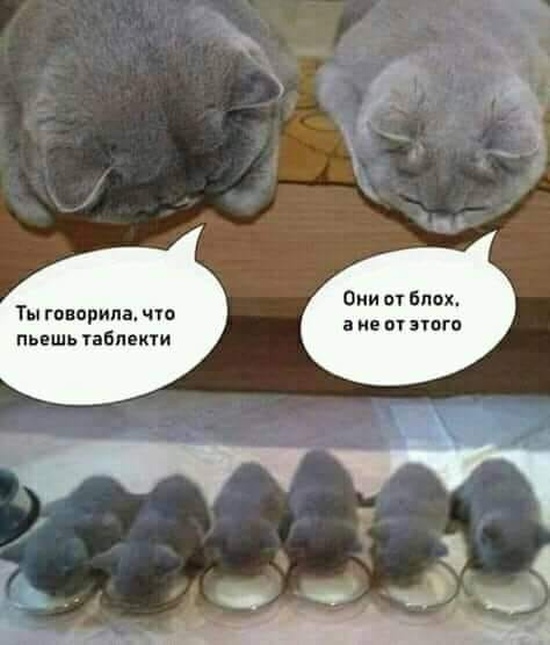 Юмор и шутки медицинской тематики