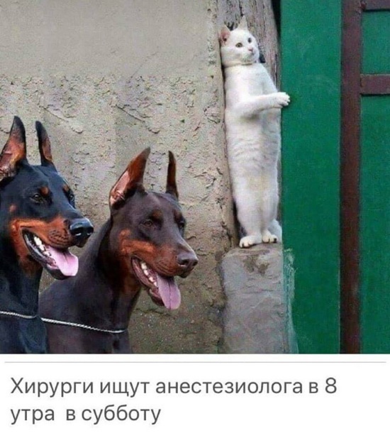 Юмор и шутки медицинской тематики