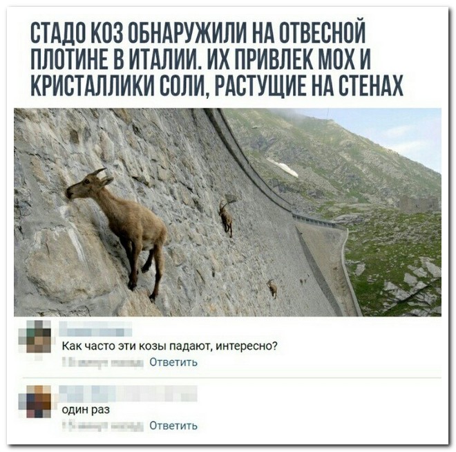 Забавные комментарии из социальных сетей